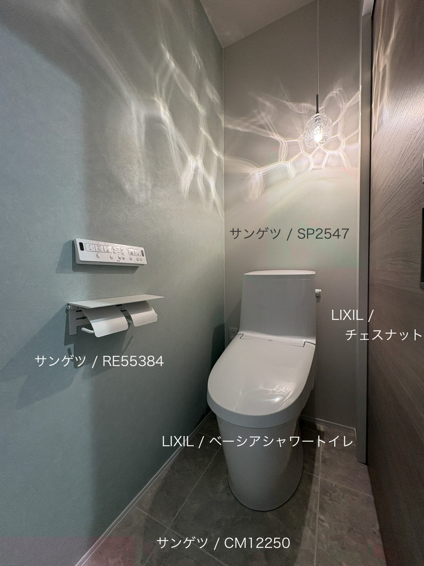 西甲府住宅ROOM TOUR ＃55　トイレ（仕様）